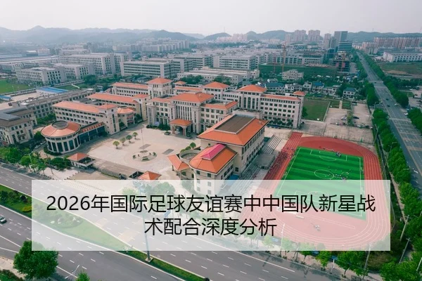 2026年国际足球友谊赛中中国队新星战术配合深度分析