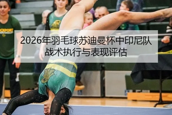 2026年羽毛球苏迪曼杯中印尼队战术执行与表现评估