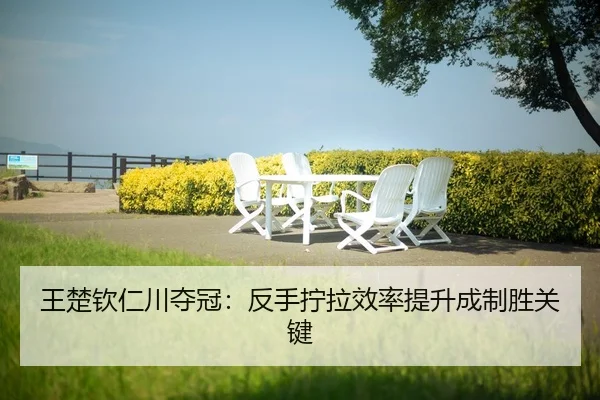 wang-chu-qin-ren-chuan-duo-guan-fan-shou-ning-la-xiao-lv-ti-sheng-cheng-zhi-sheng-guan-jian-2-225.jpg